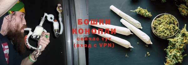 ПСИЛОЦИБИНОВЫЕ ГРИБЫ Балабаново
