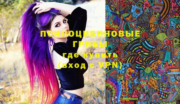 ПСИЛОЦИБИНОВЫЕ ГРИБЫ Балабаново