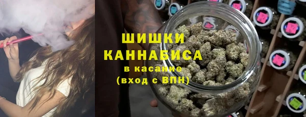 ПСИЛОЦИБИНОВЫЕ ГРИБЫ Балабаново